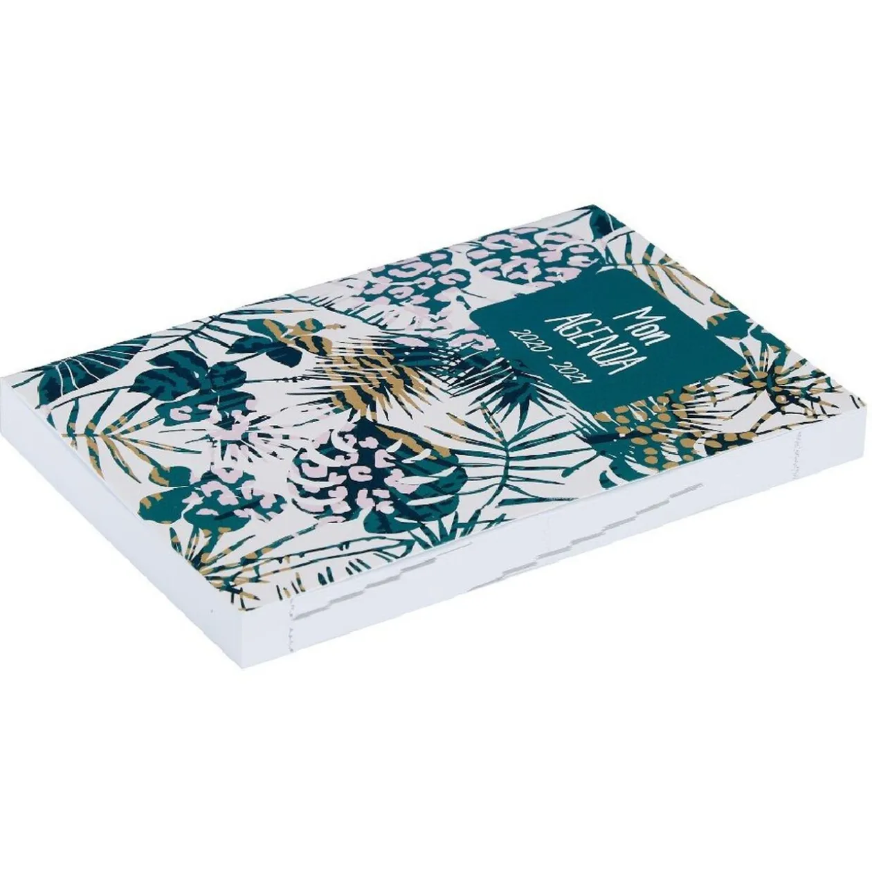 Agenda scolaire Basic jungle 2020 2021