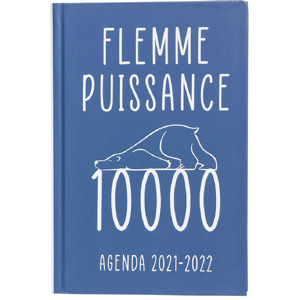 Agenda scolaire Premium Flemme 2021 2022