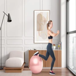 Ballon de fitness Ø65cm avec pompe manuelle
