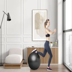 Ballon de fitness Ø65cm avec pompe manuelle