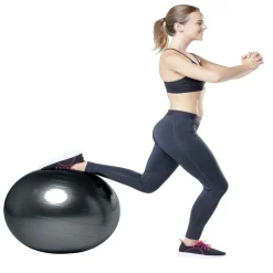 Ballon de fitness Ø65cm avec pompe manuelle