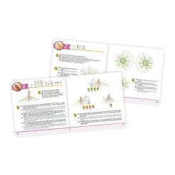 Bijoux créatifs 10 bracelets d'Amitié