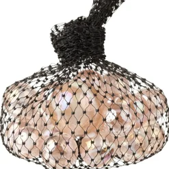 Bille et boulard X24