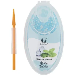 Bille menthe fraîche x100
