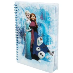 Bloc note Reine des Neiges