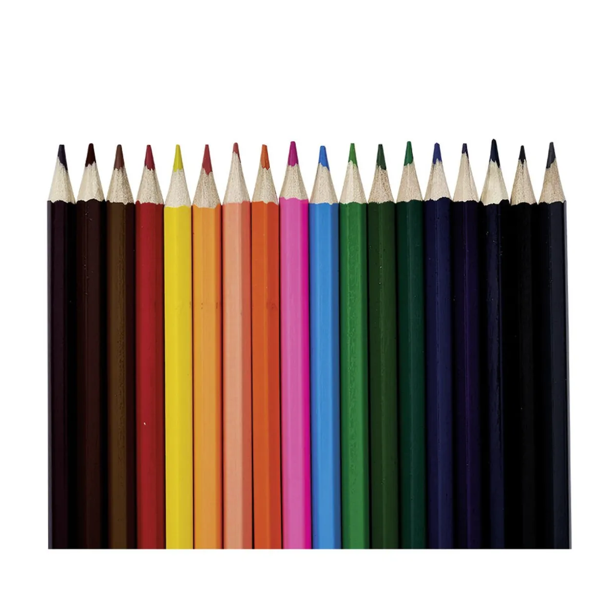 Boîte de 50 crayons de couleurs