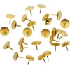 Boîte de 100 punaises plates métal doré