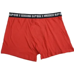 Boxer Homme x4