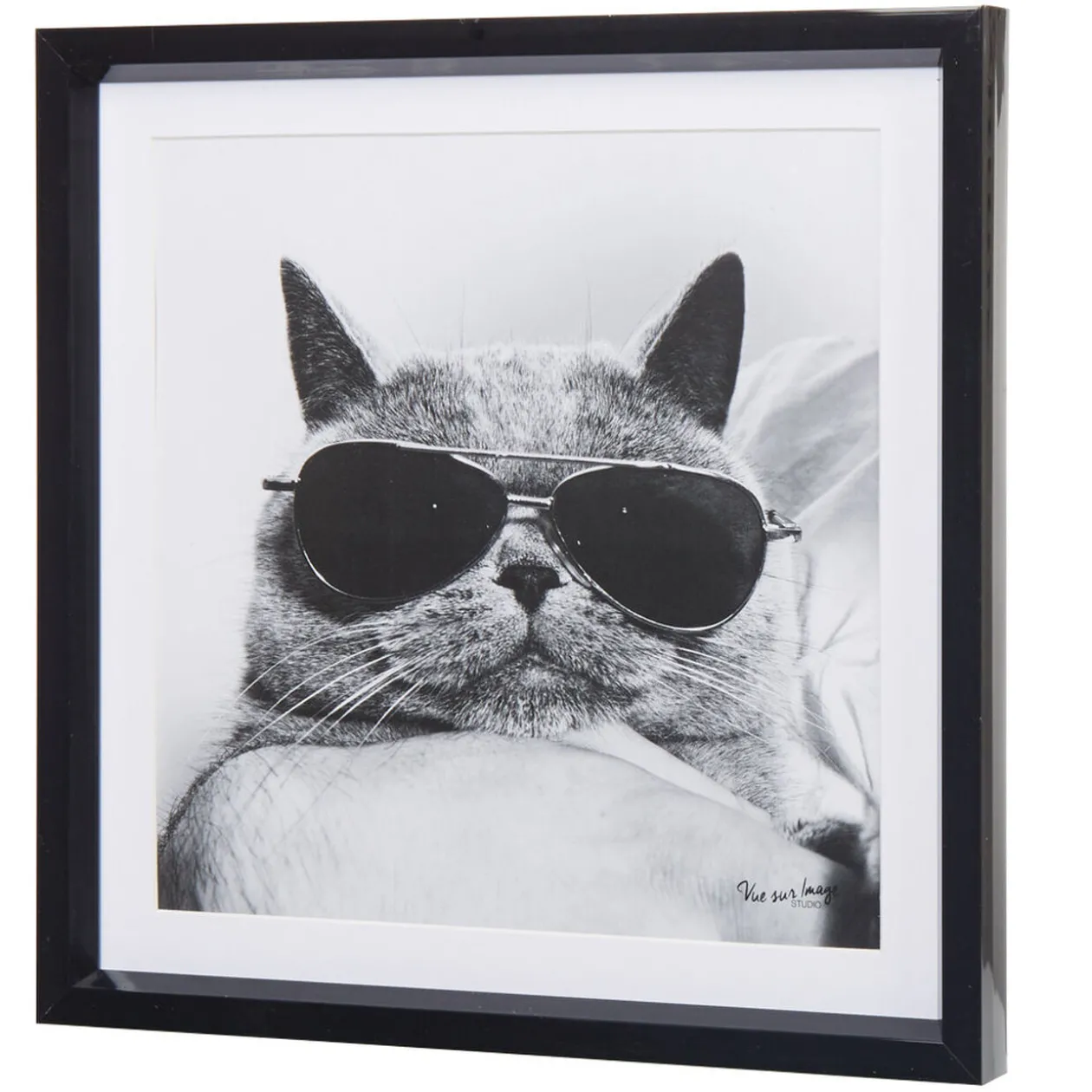 Cadre déco chat à lunettes noires