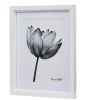 Cadre déco fleur lotus noir et blanc