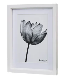 Cadre déco fleur lotus noir et blanc