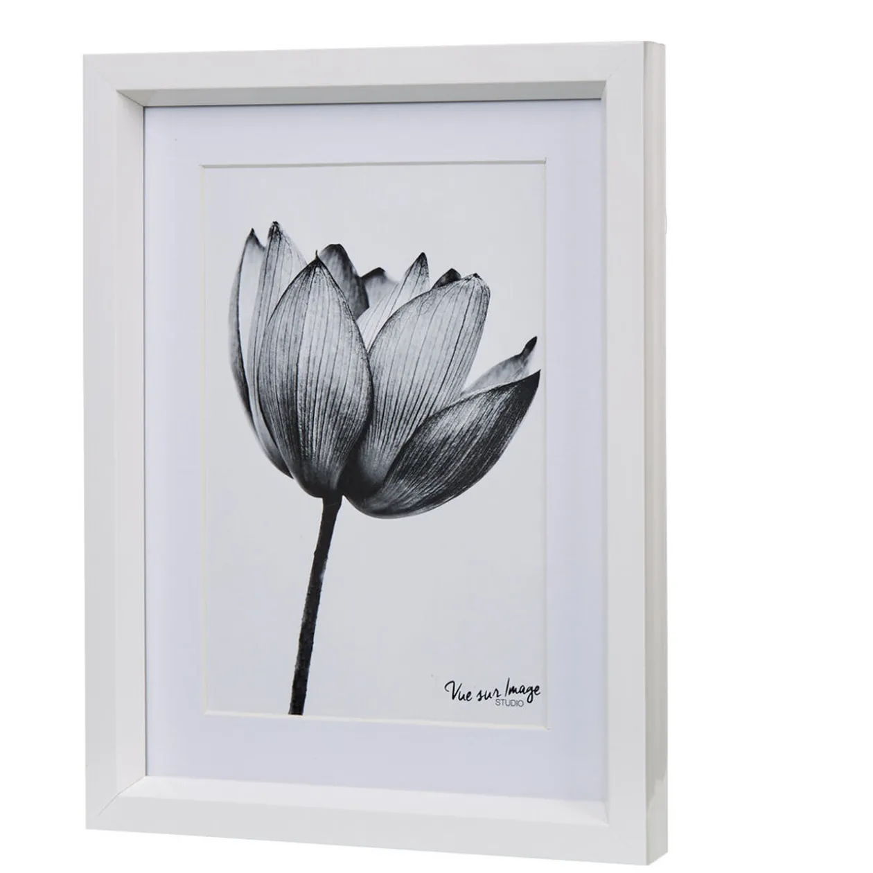Cadre déco fleur lotus noir et blanc