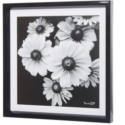 Cadre déco fleur lotus noir et blanc