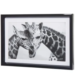 Cadre déco girafe et son bébé noir et blanc