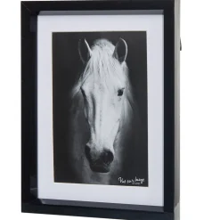 Cadre déco tête de cheval noir et blanc