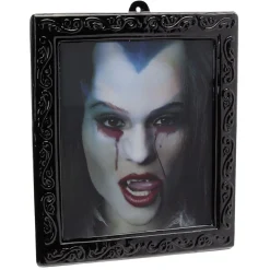 Cadre décoration vampire