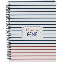 Cahier de texte à spirales rayures