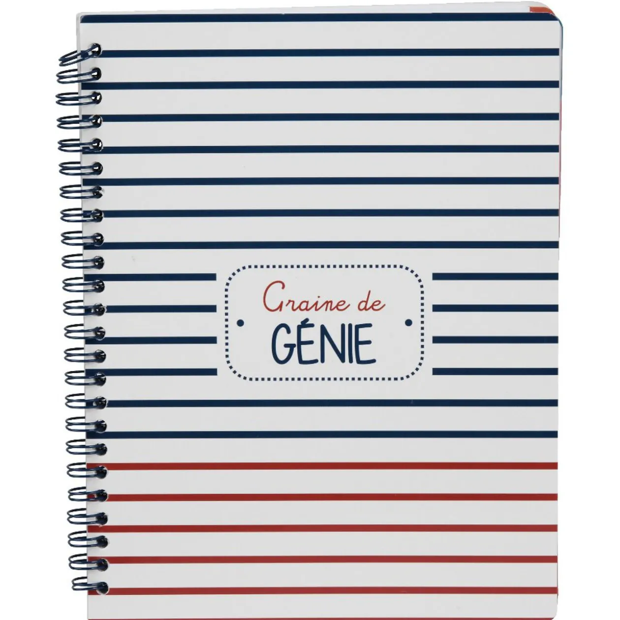 Cahier de texte à spirales rayures