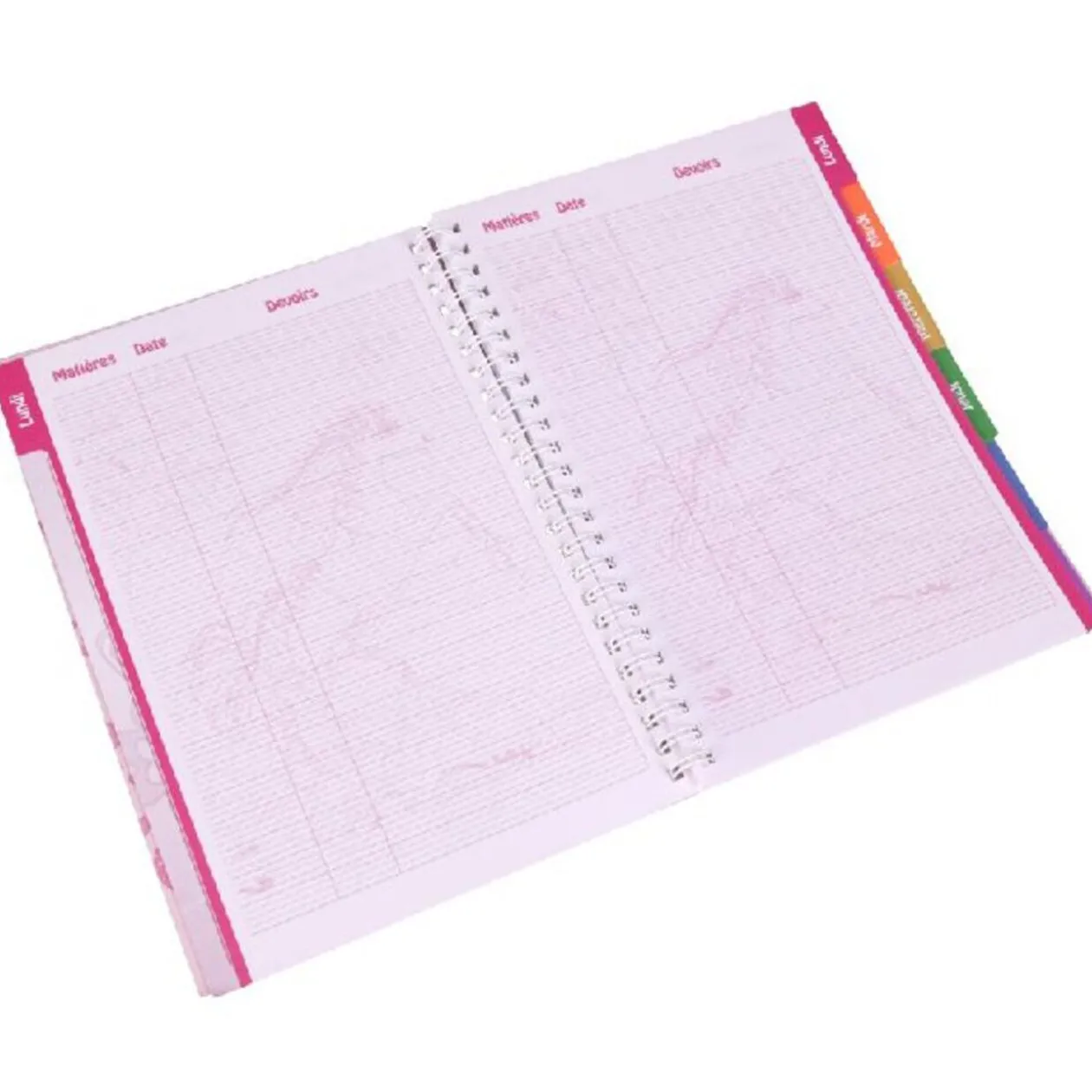 CAHIER DE TEXTE BELLA SARA