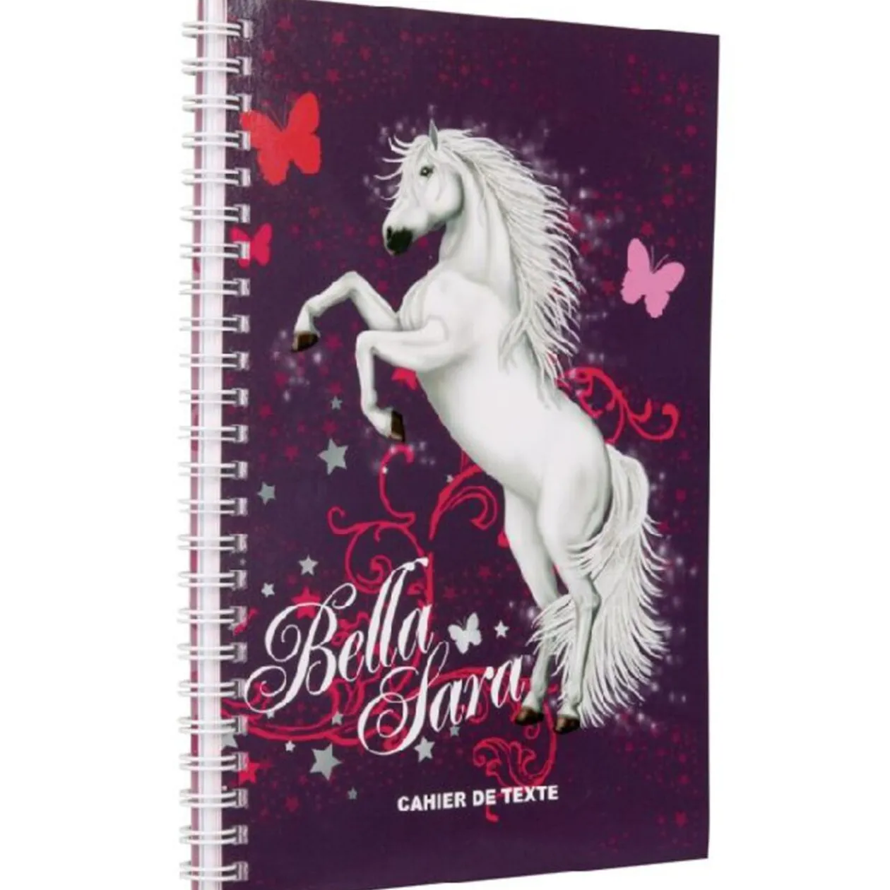 CAHIER DE TEXTE BELLA SARA