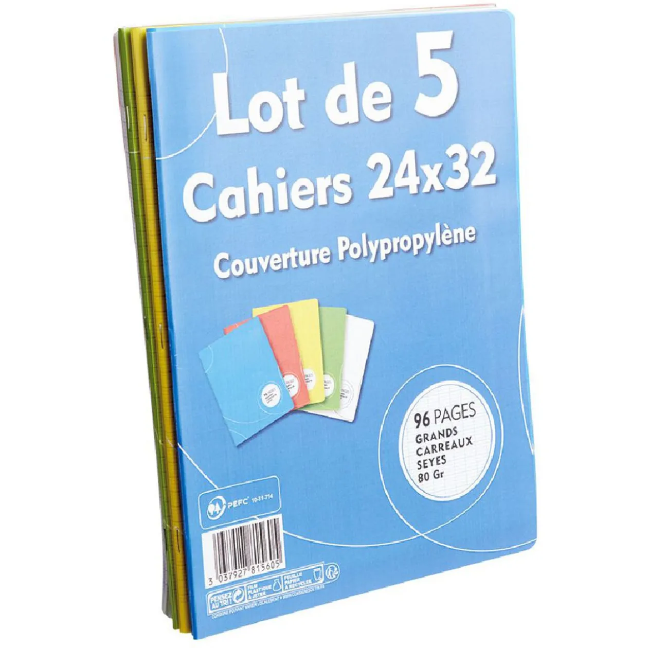 Cahier grands carreaux couverture rigide 96 pages 24x32cm x5