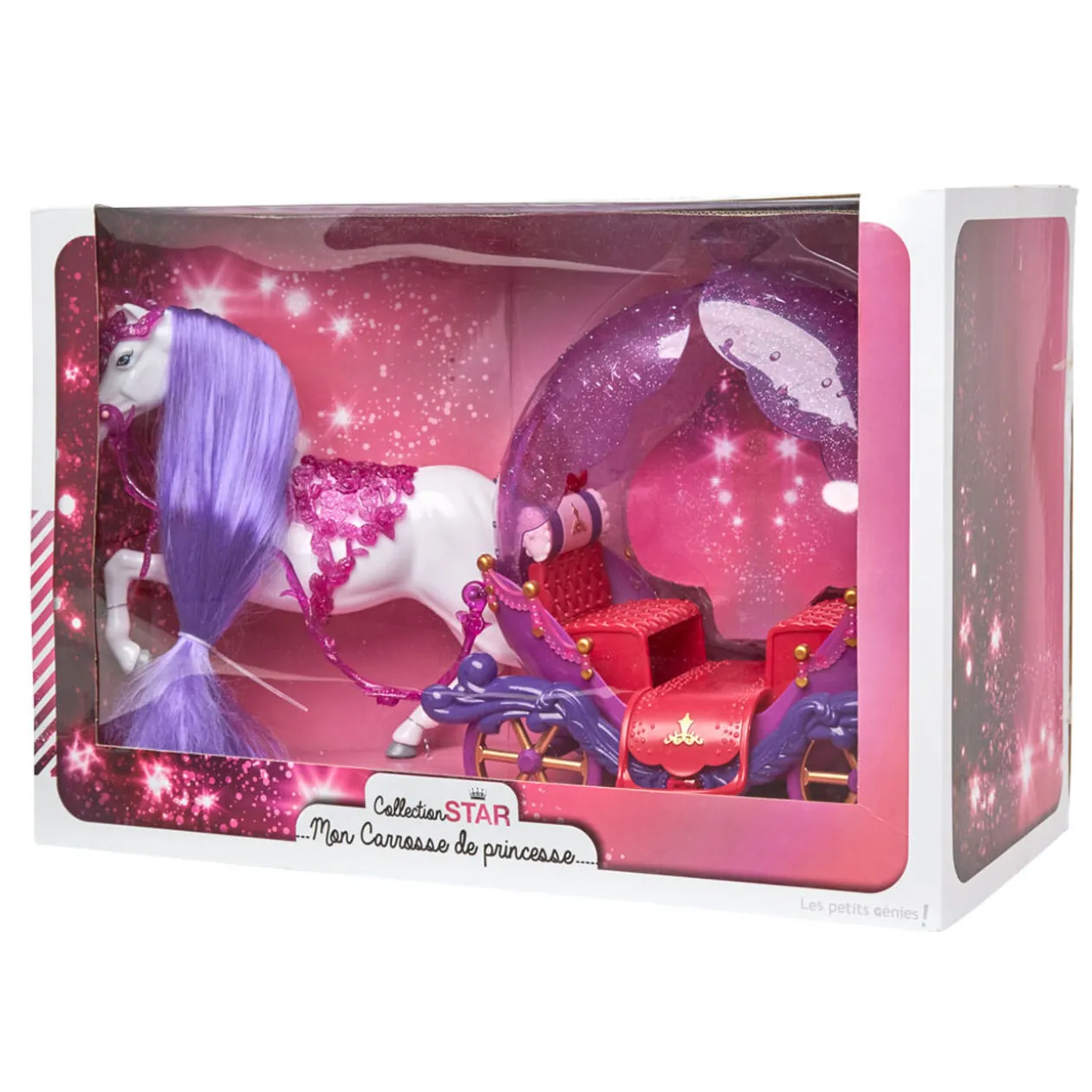 Carrosse de princesse et son cheval