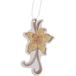 Carte désodorisante pour véhicule