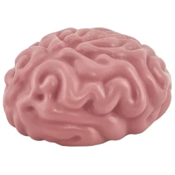 Cerveau anti stress rose