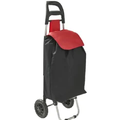 Chariot de course 2 roues 36x25xH95x cm