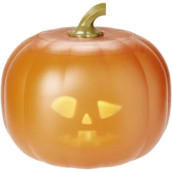 Citrouille animée orange