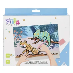 Coffret broderie DIY canevas diamant