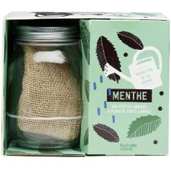Coffret Des petites graines à planter toute l'année Menthe