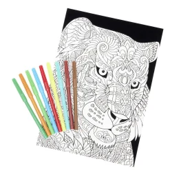 Coloriage velours avec 10 feutres
