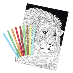 Coloriage velours avec 10 feutres