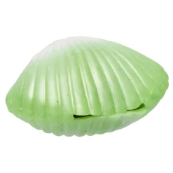 Coquillage anti-stress