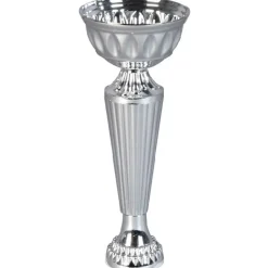 Coupe vainqueur argent