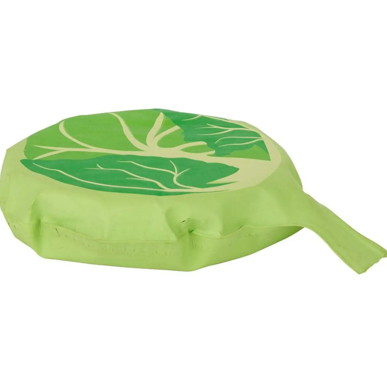 Coussin péteur choux vert