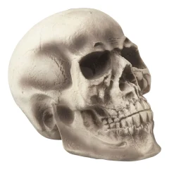 Crâne tête de mort Halloween