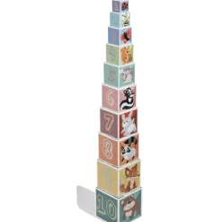 Cubes gigognes imagier animaux x10