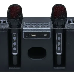 Enceinte karaoké 2 micros Homday Party - portée 10m autonomie 3h