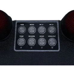 Enceinte karaoké 2 micros Homday Party - portée 10m autonomie 3h