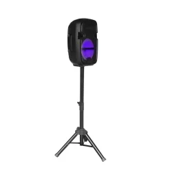 Haut parleur Blaupunkt avec support