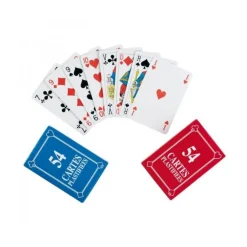 Jeu de 54 cartes plastifiées