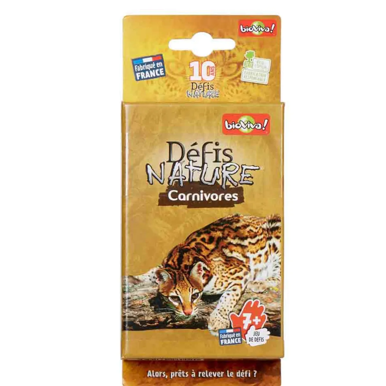 Jeu de défis Nature Carnivores