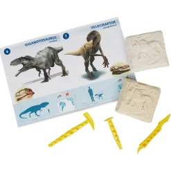Jeu éducatif dinosaures prédateurs