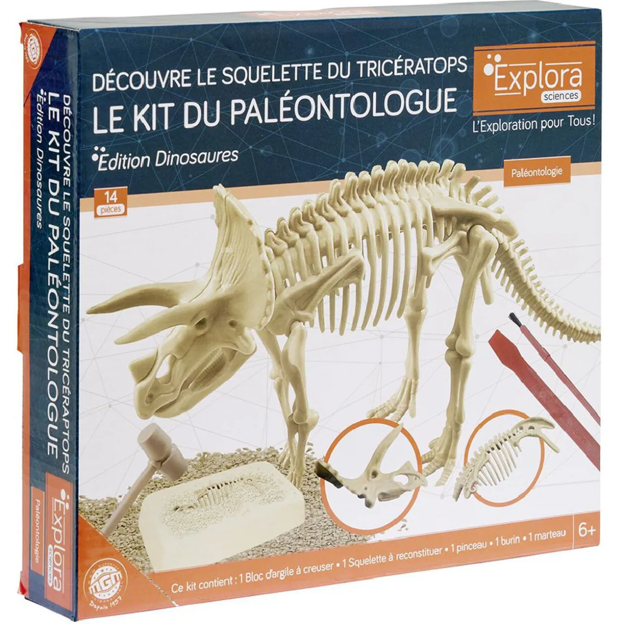 Jeu paléontologue - squelette Triceratops à reconstituer