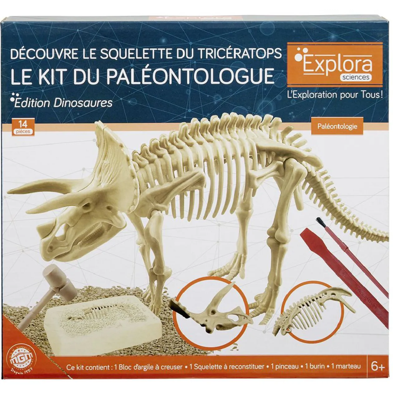 Jeu paléontologue - squelette Triceratops à reconstituer