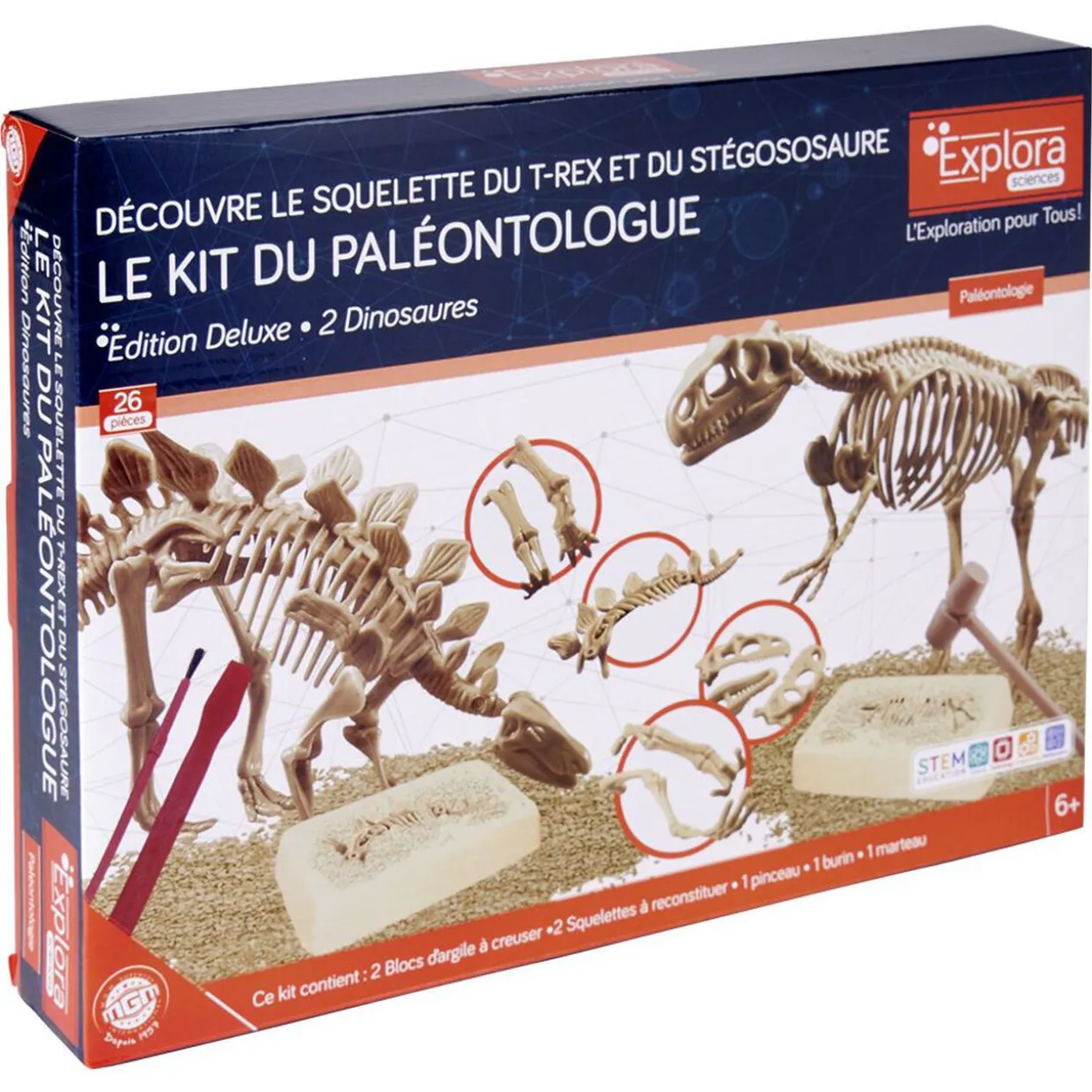 Jeu paléontologue - squelette T-rex et Stégososaure à reconstituer