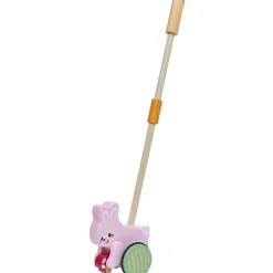 Jouet animal à pousser en bois