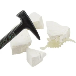 Kit excavation dinosaure